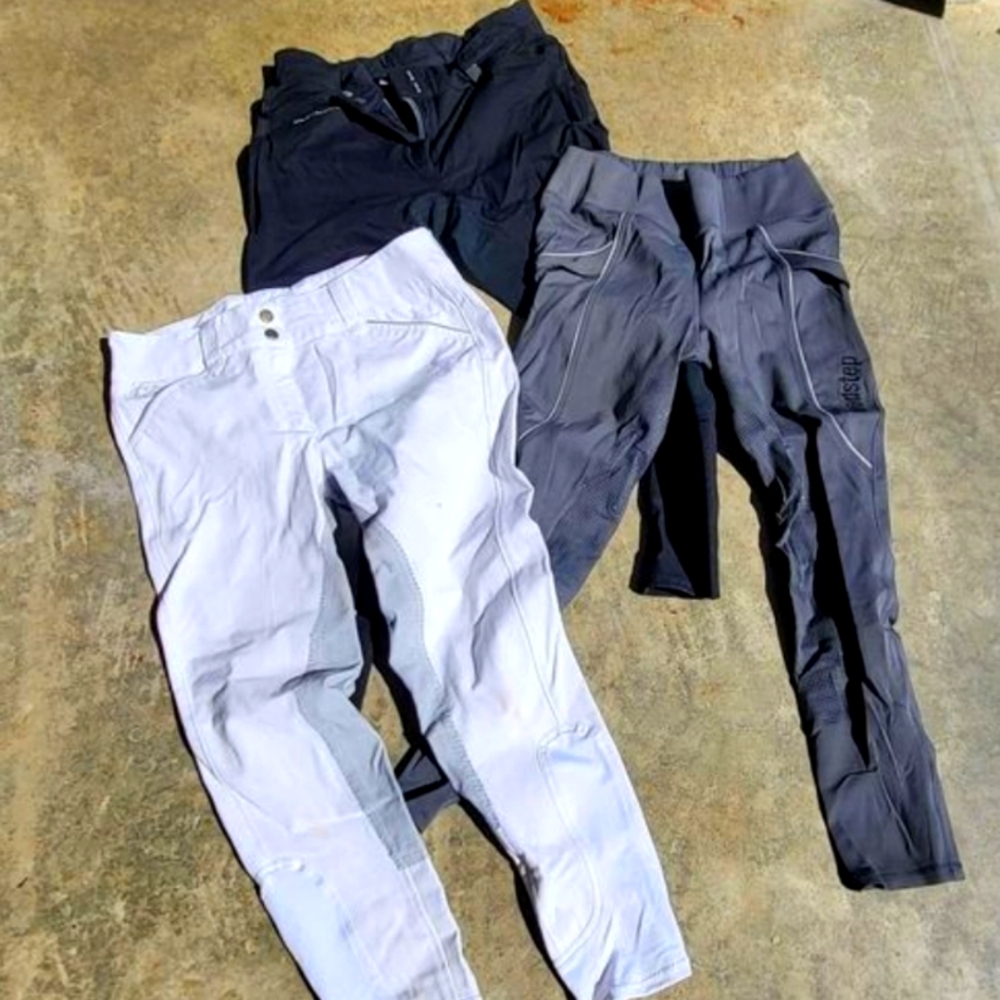 grey fs riding tights $25